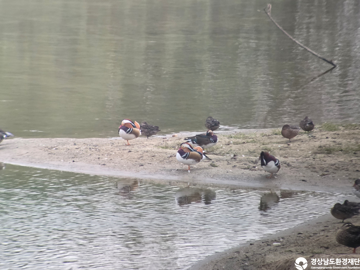 [악양습지/질날늪/평기늪] 습지 생태계 변화 조사-2025. 10.