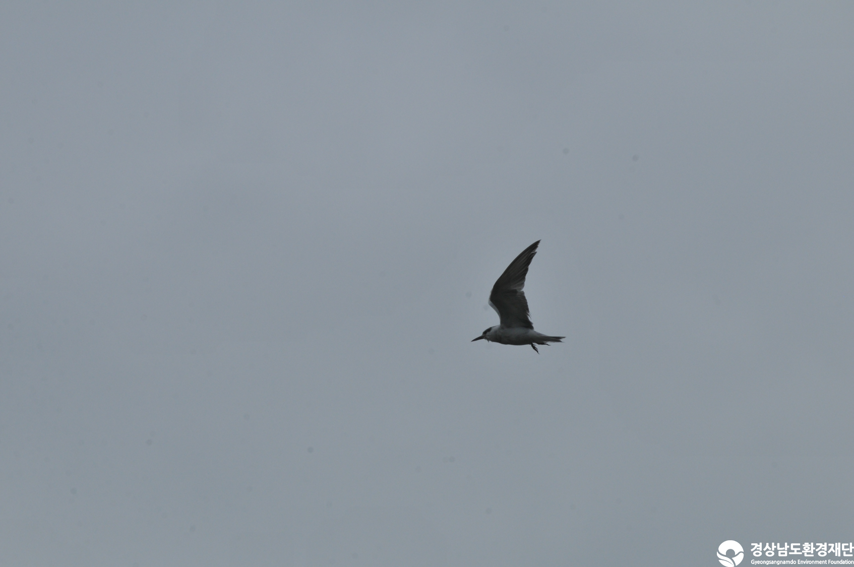 [섬진강하구] 습지 생태계 변화 조사-2025. 10.