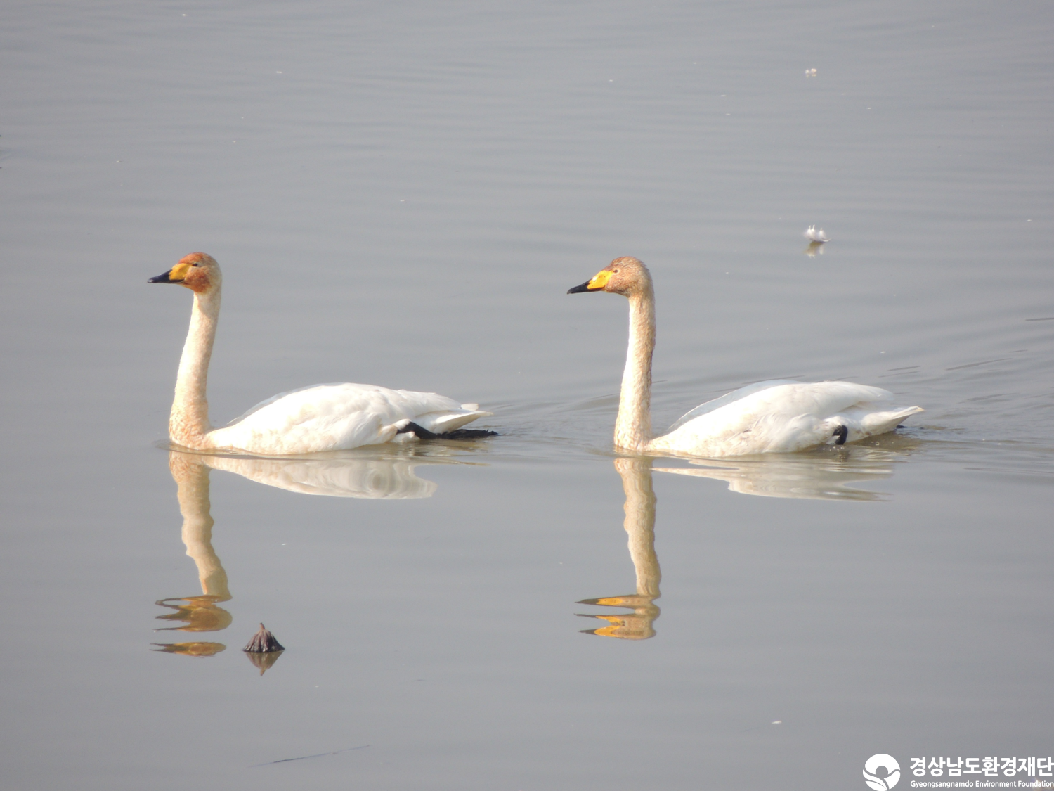 [주남저수지] 습지 생태계 변화 조사-2025. 12.