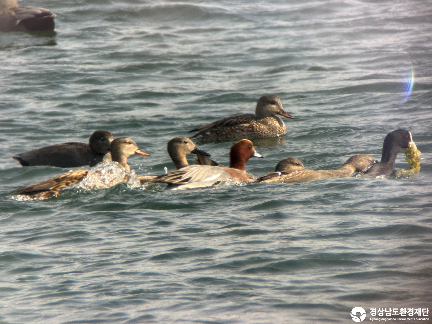 [진동만/창포만] 습지 생태계 변화 조사-2026. 1.