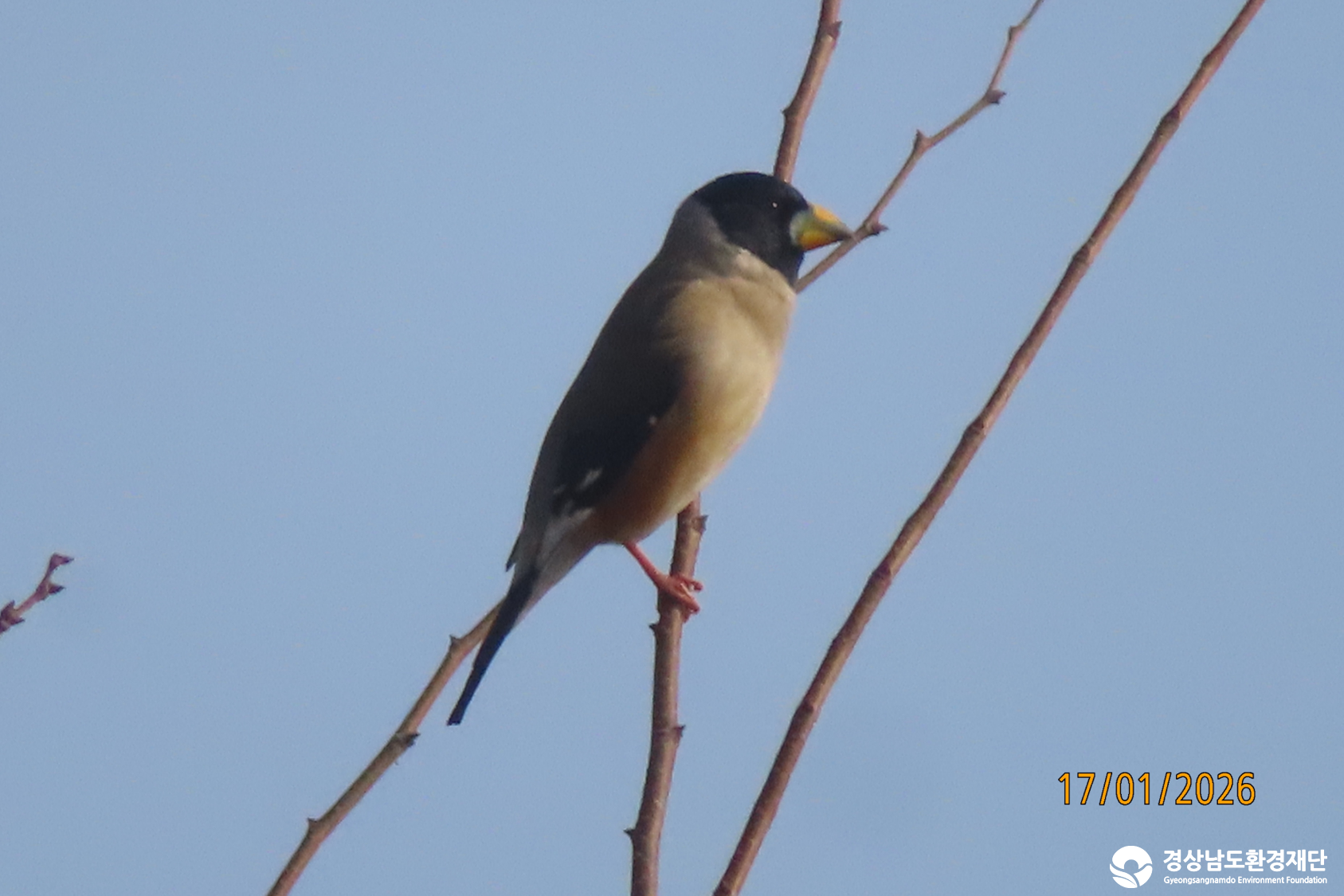 [섬진강하구] 습지 생태계 변화 조사-2026. 1.