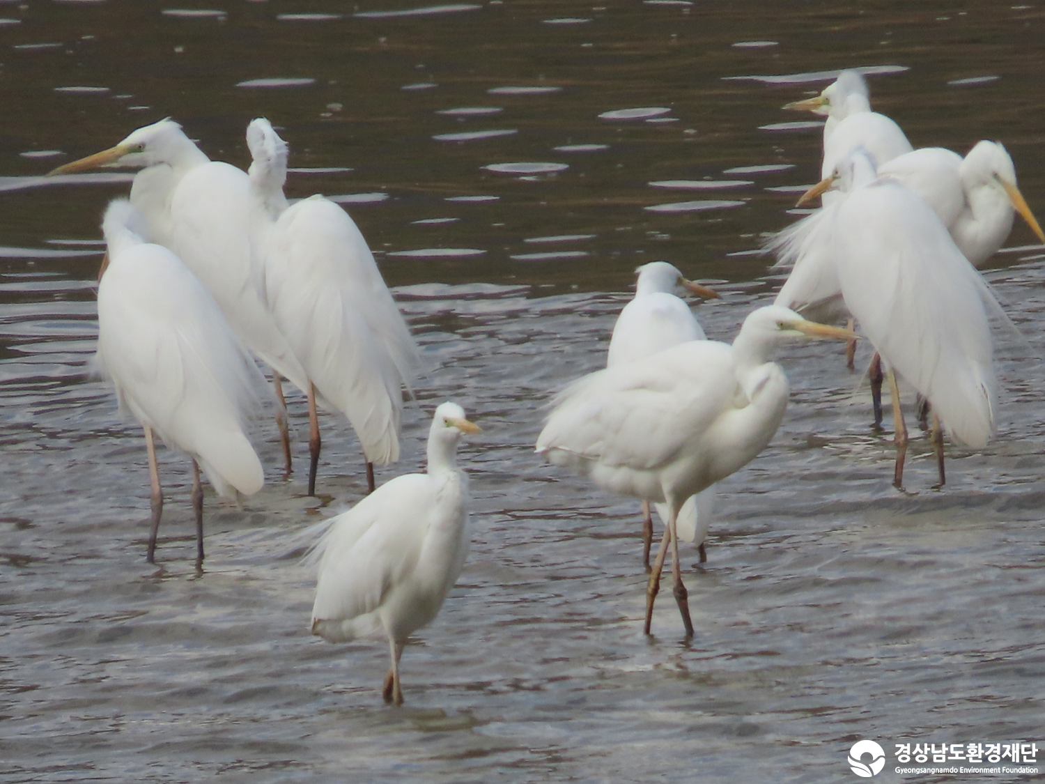 [봉암갯벌] 습지 생태계 변화 조사-2026. 3.