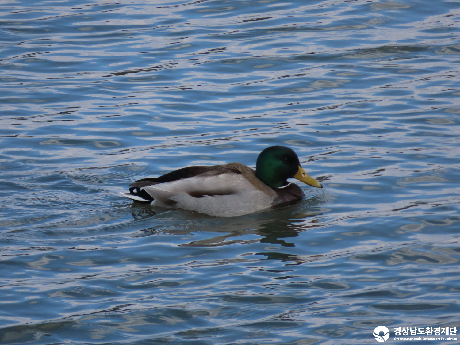 [봉암갯벌] 습지 생태계 변화 조사-2026. 3.
