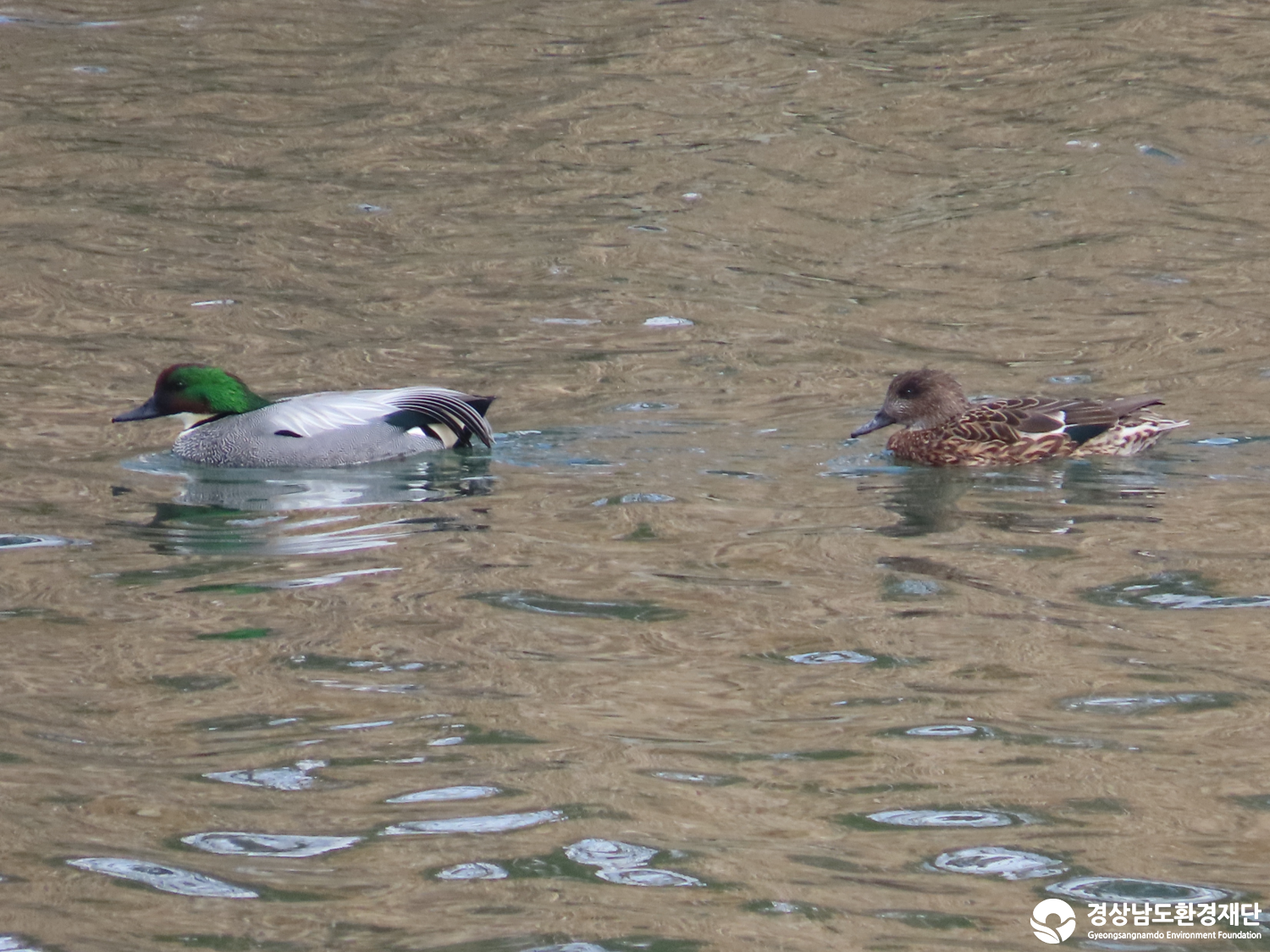 [봉암갯벌] 습지 생태계 변화 조사-2026. 3.