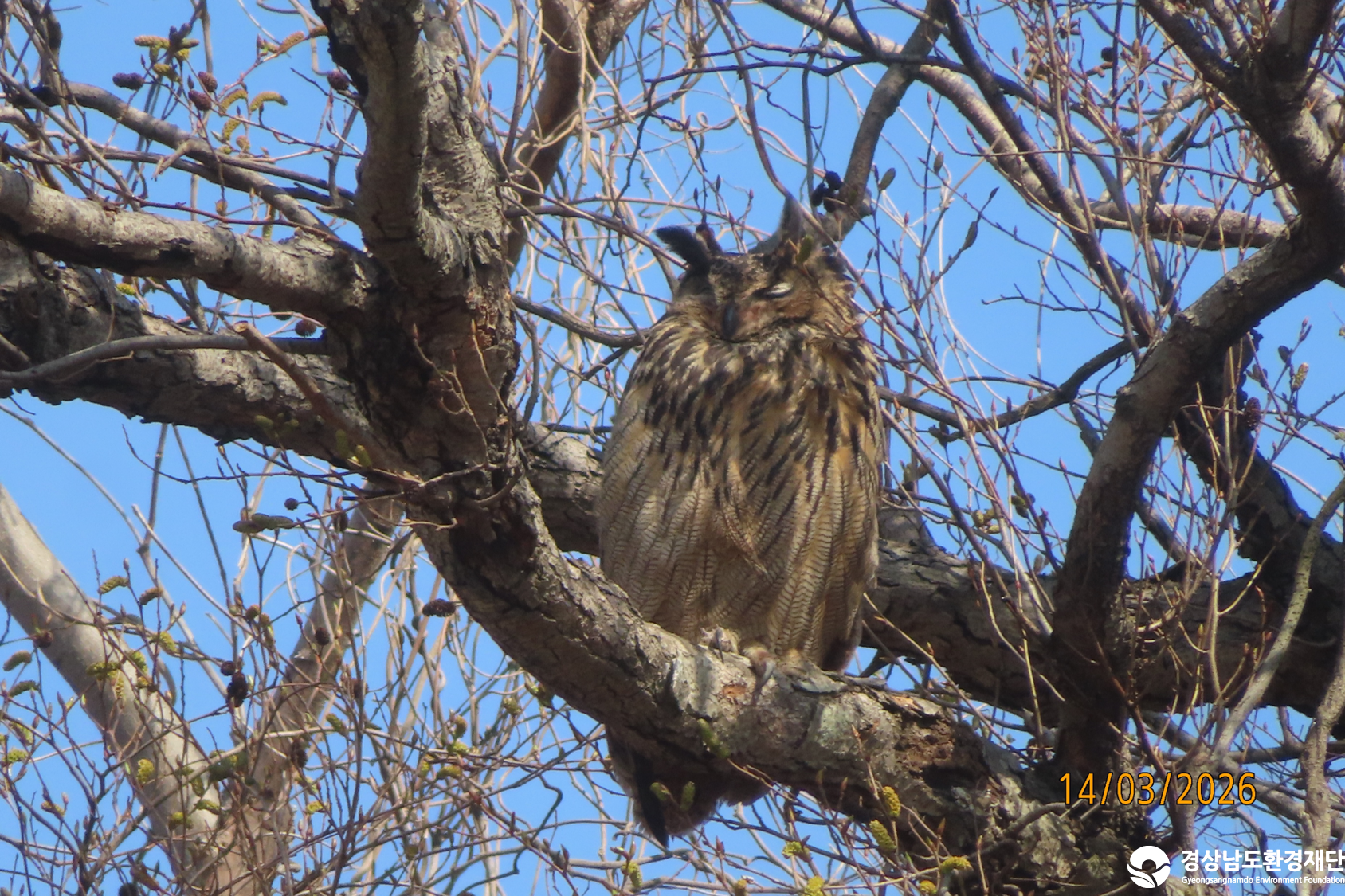 [섬진강하구] 습지 생태계 변화 조사-2026. 3.