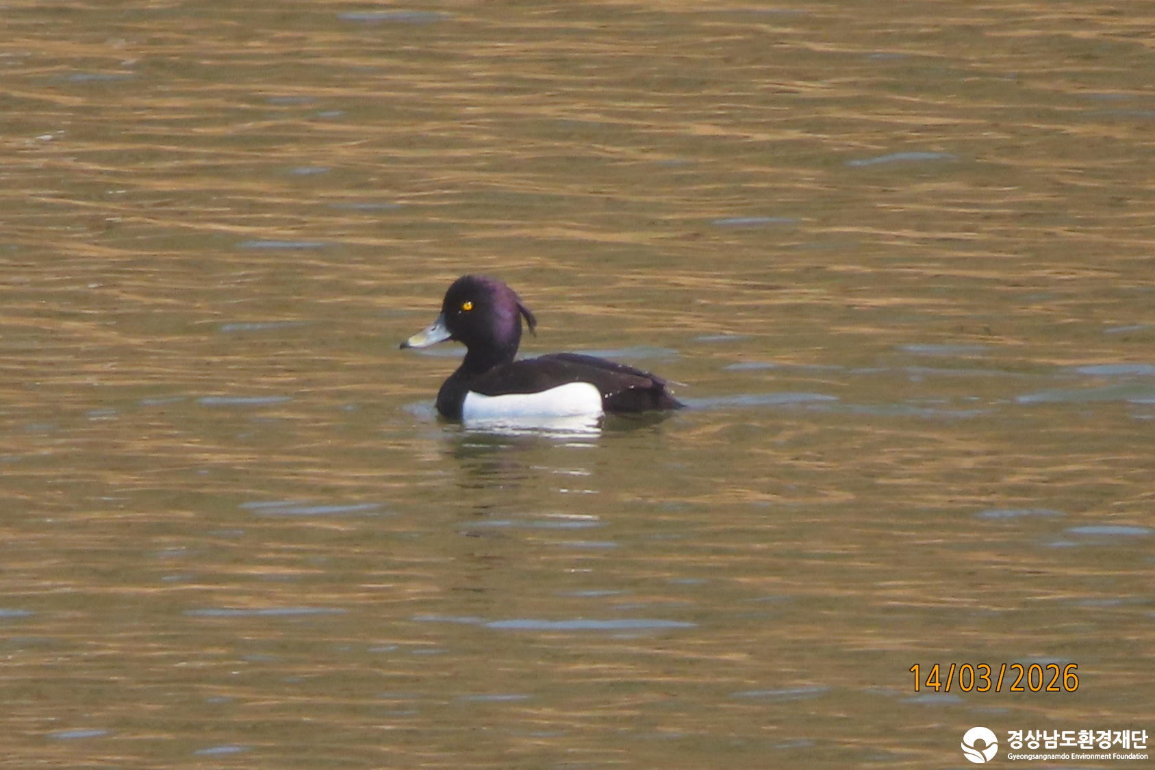 [섬진강하구] 습지 생태계 변화 조사-2026. 3.