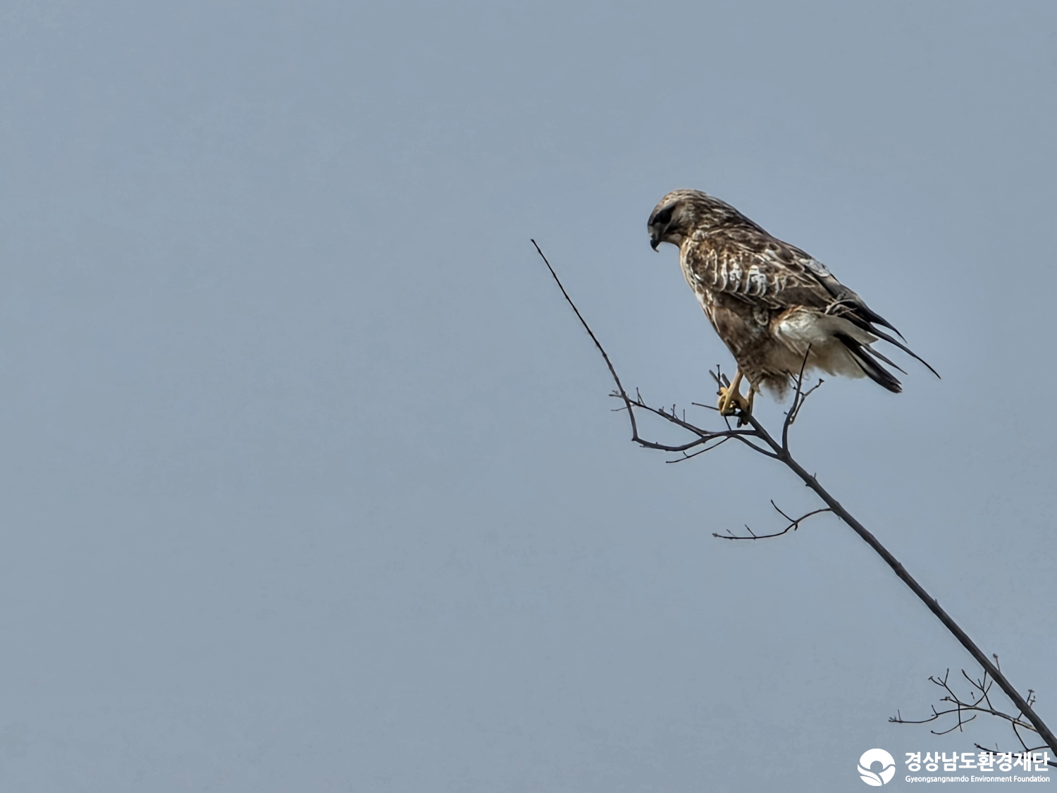 [악양습지/질날늪/평기늪] 습지 생태계 변화 조사-2026. 3.