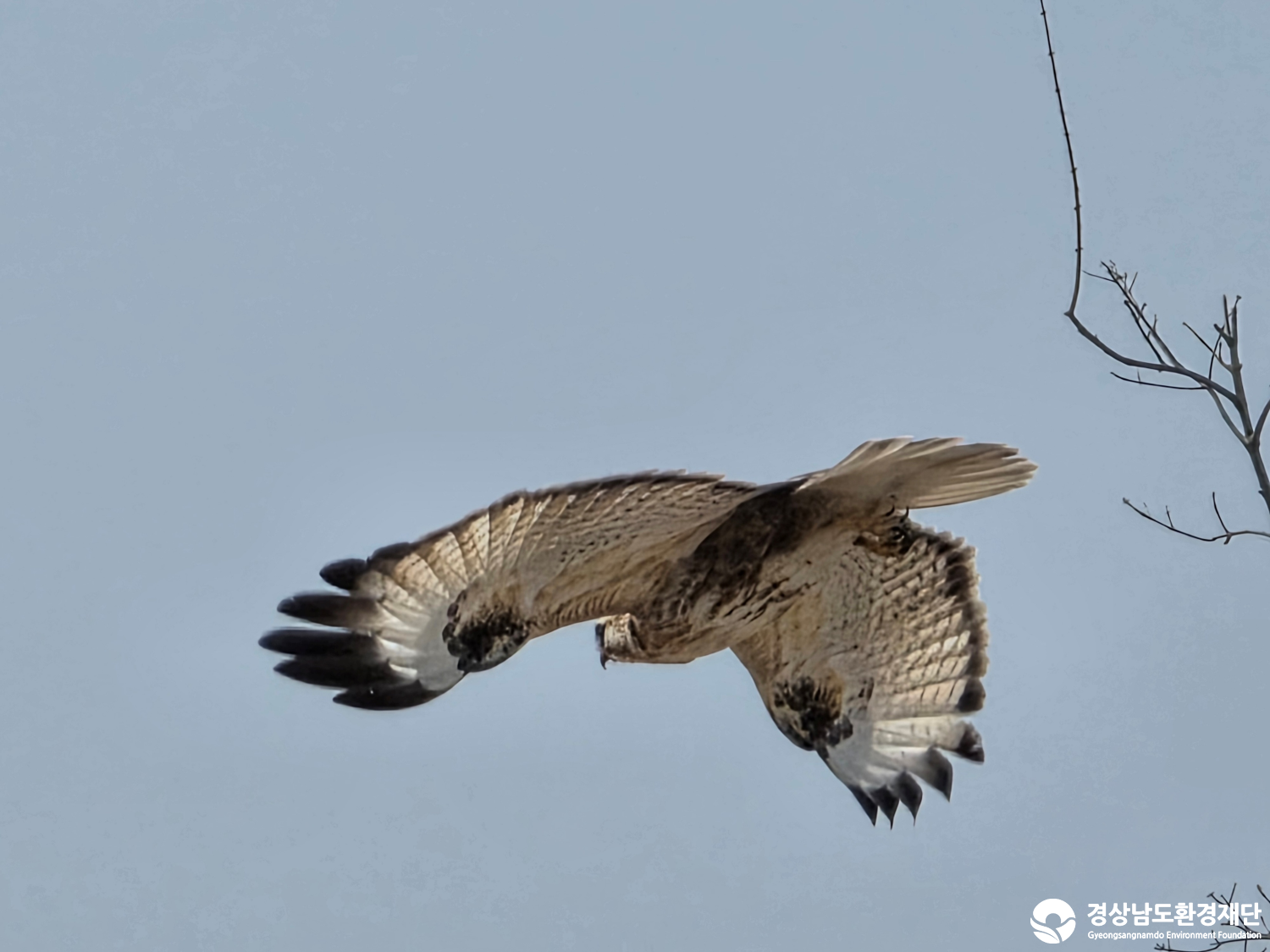 [악양습지/질날늪/평기늪] 습지 생태계 변화 조사-2026. 3.