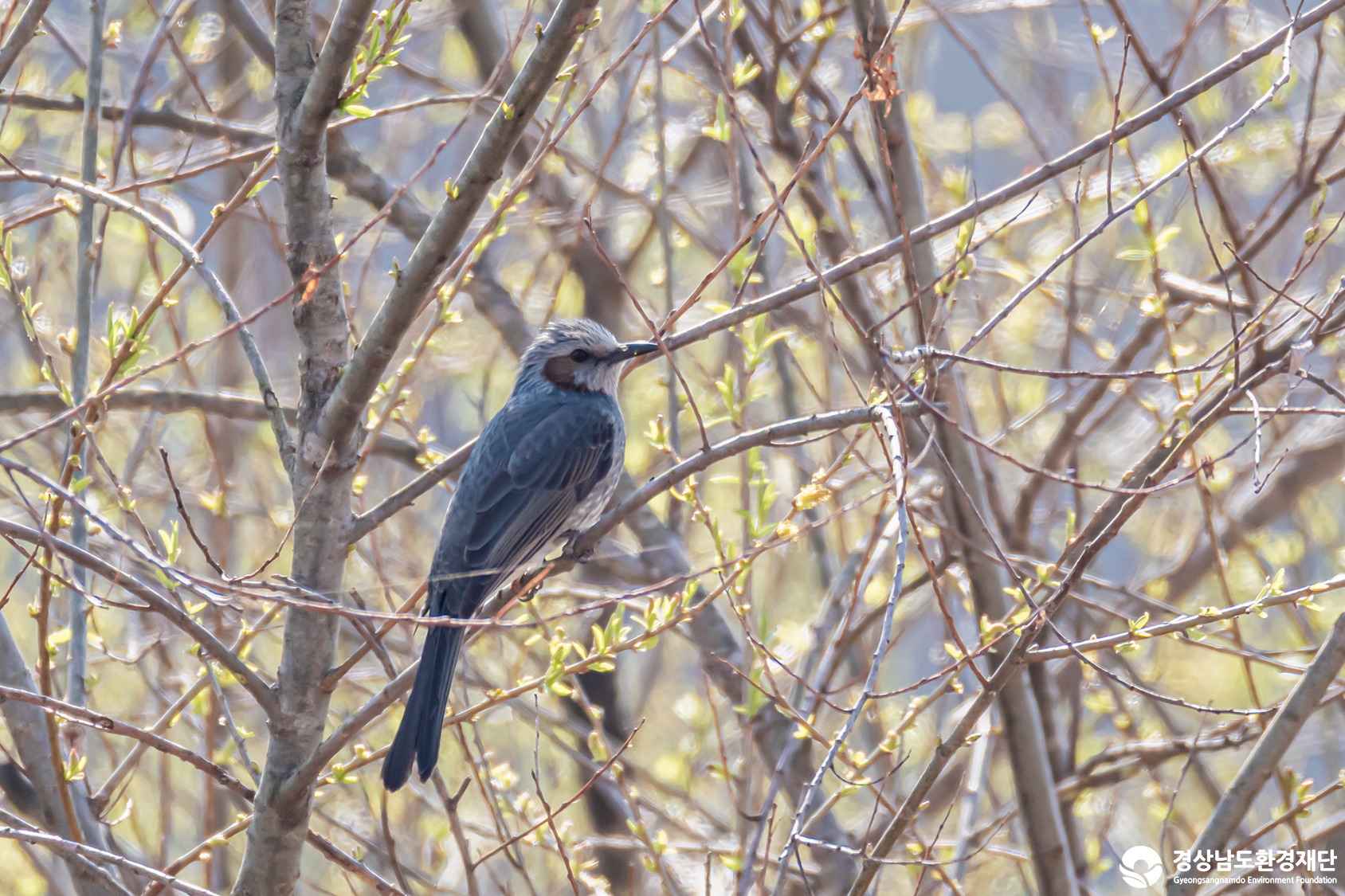 [정양늪] 습지 생태계 변화 조사-2026. 3.