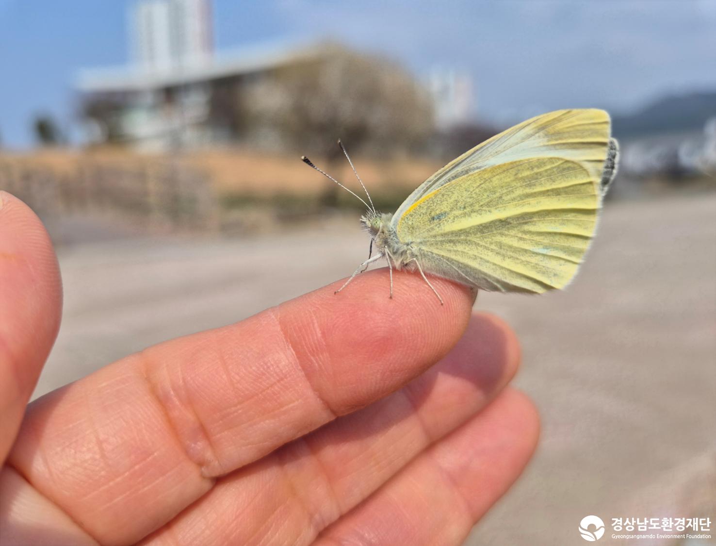 2026년 시민환경과학자 모니터링(3월) - 육상곤충